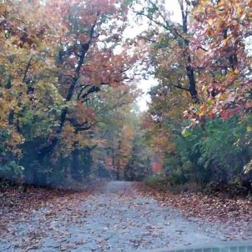 Roads Once Traveled